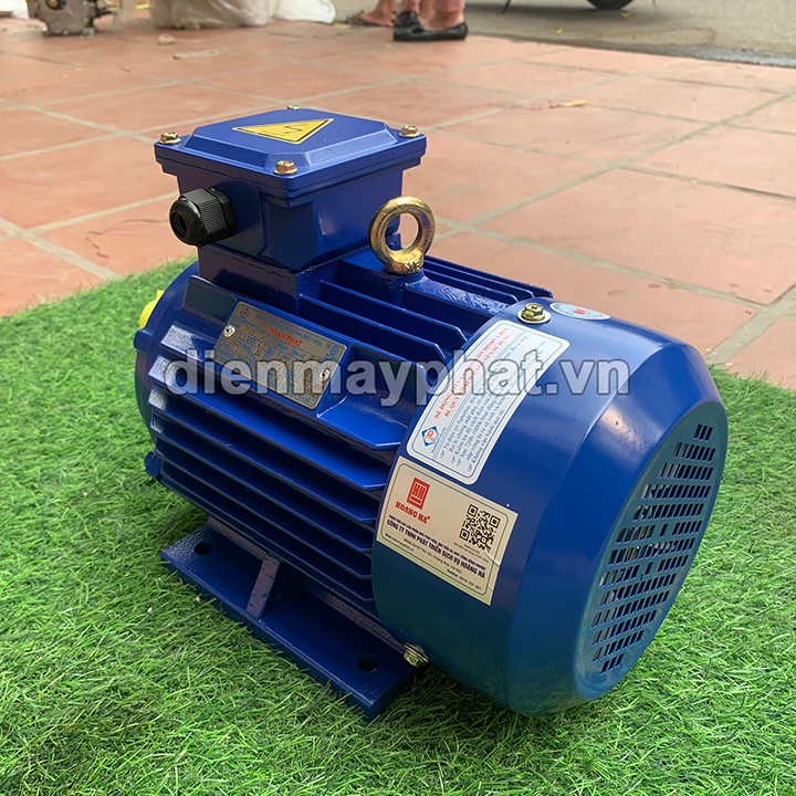 Động Cơ Điện Toàn Phát 3Kw 1500 Vòng/Phút 3 Pha TP100L2-4