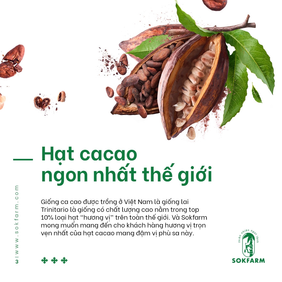 Hạt CACAO & Mật HOA DỪA CẠN tự nhiên - SOKFARM - Trà Vinh - 75gr