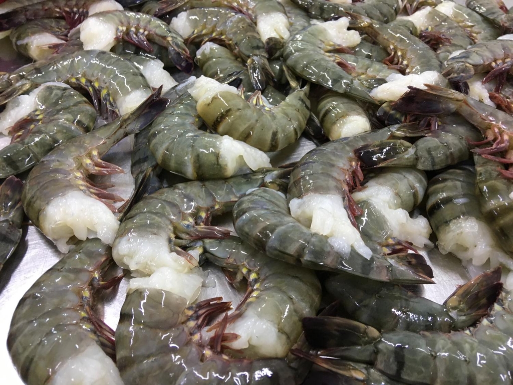 FROZEN RAW HOSO BLACK TIGER PRAWN