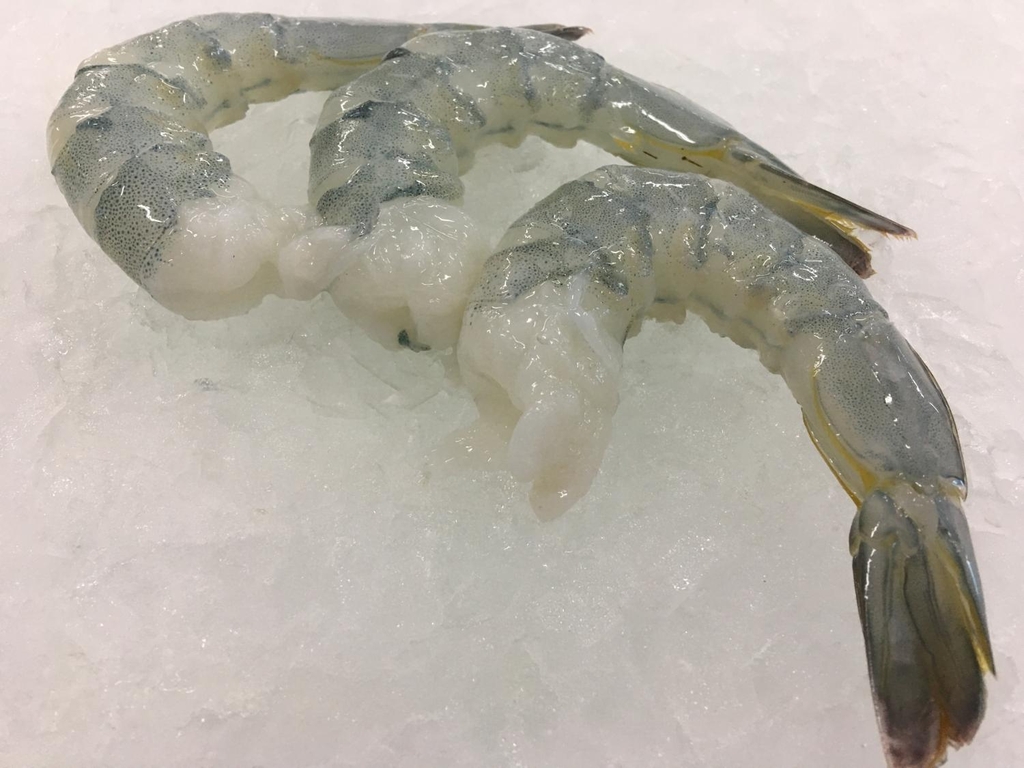 FROZEN RAW VANNAMEI PRAWN