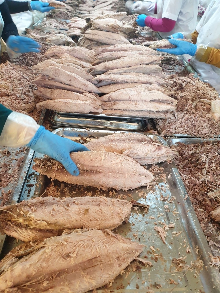 PRE-COOKED TUNA LOIN