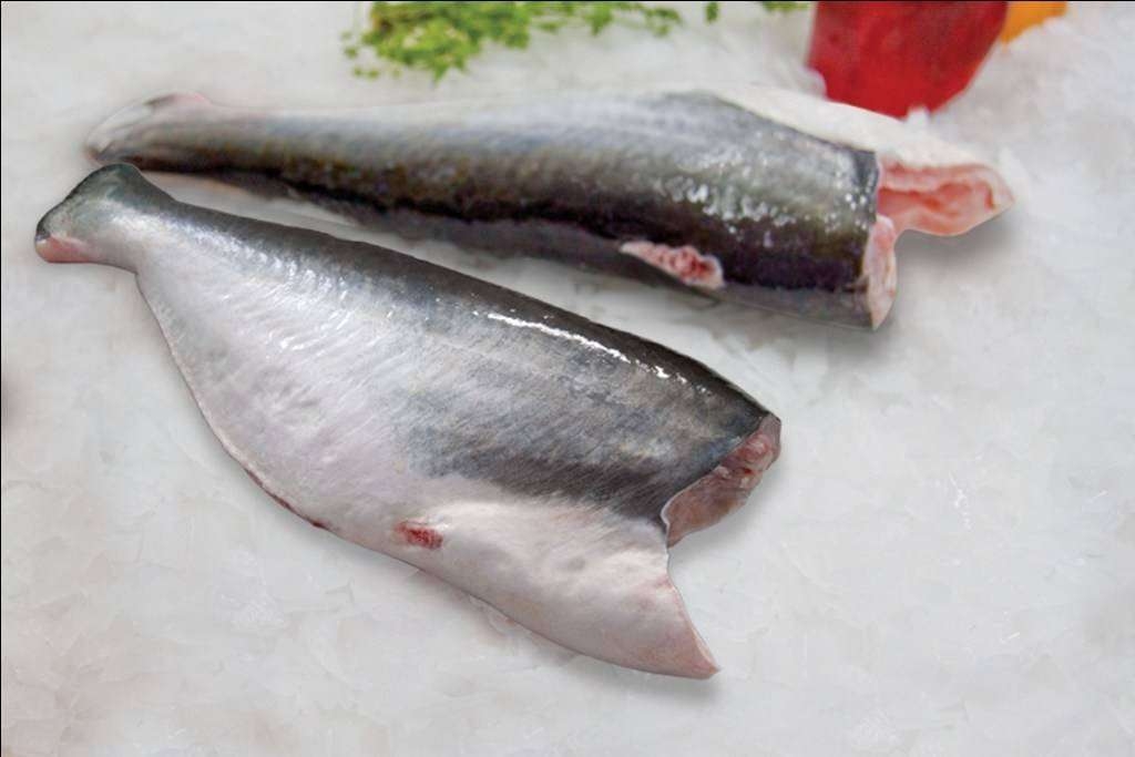 FROZEN WHOLE ROUND PANGASIUS