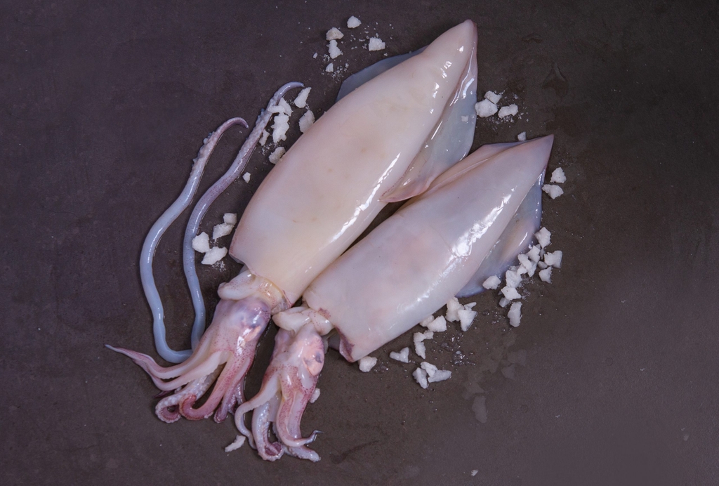 LOLIGO SQUID SKIN ON/ SKIN OFF