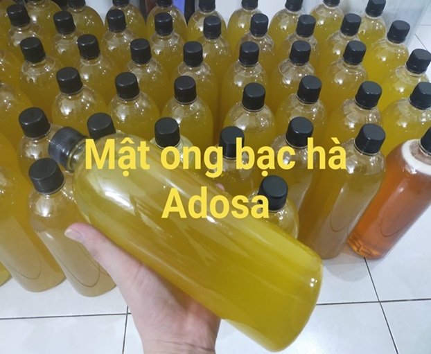 Nhận biết mật ong Bạc hà giả Nhận biết mật ong Bạc hà giả