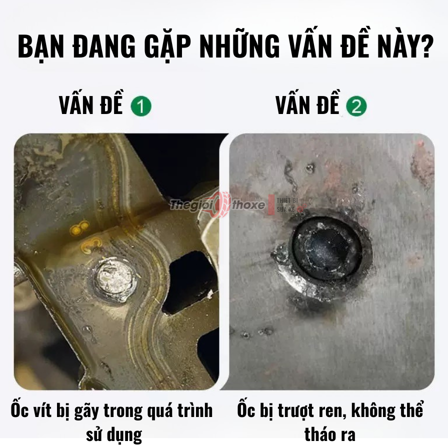 Bộ tháo ốc kèm tay taro 11 chi tiết