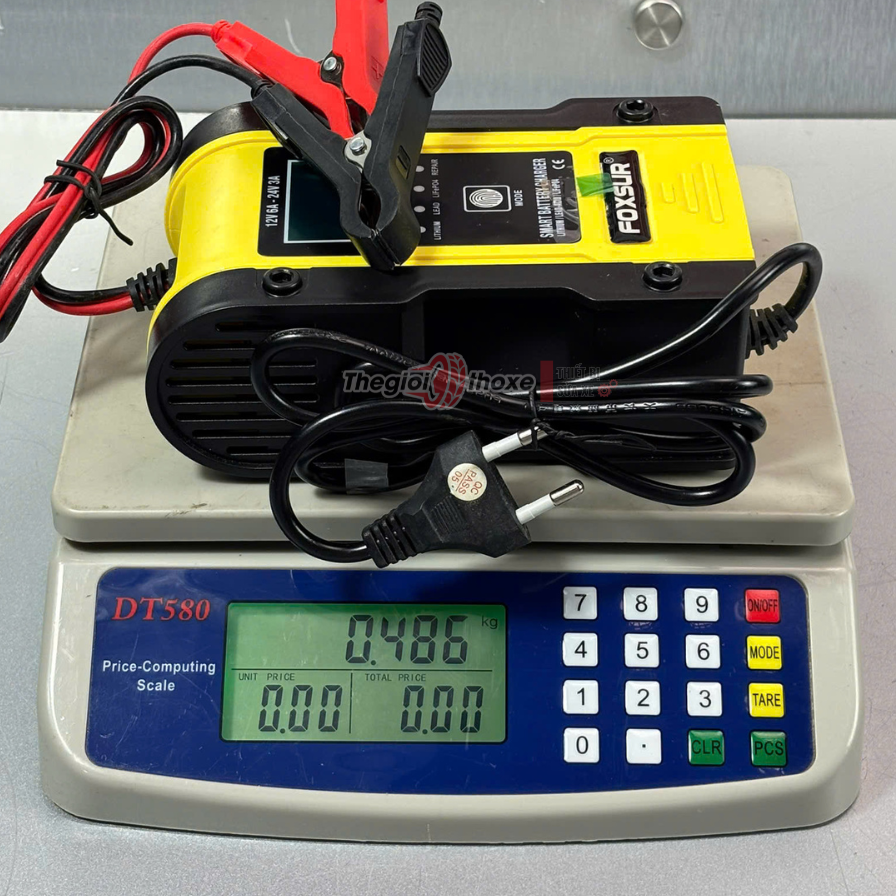 Sạc foxsur 12V/24V - 6A