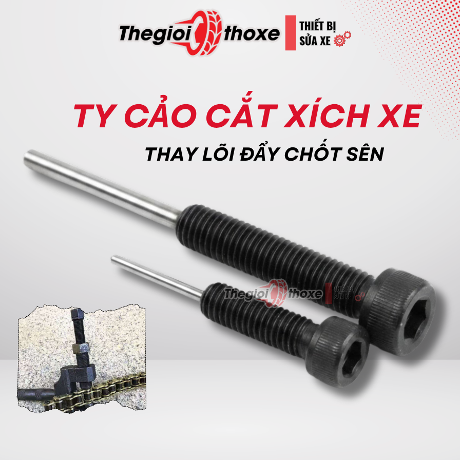 Ty thay cảo sên