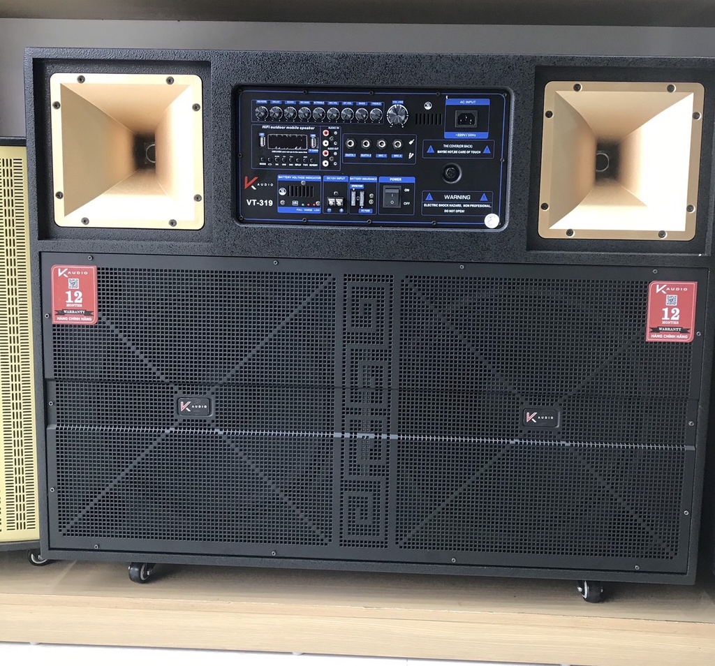 Loa Piega Classic - Sự Lựa Chọn Cao Cấp Cho Người Sành Âm Thanh