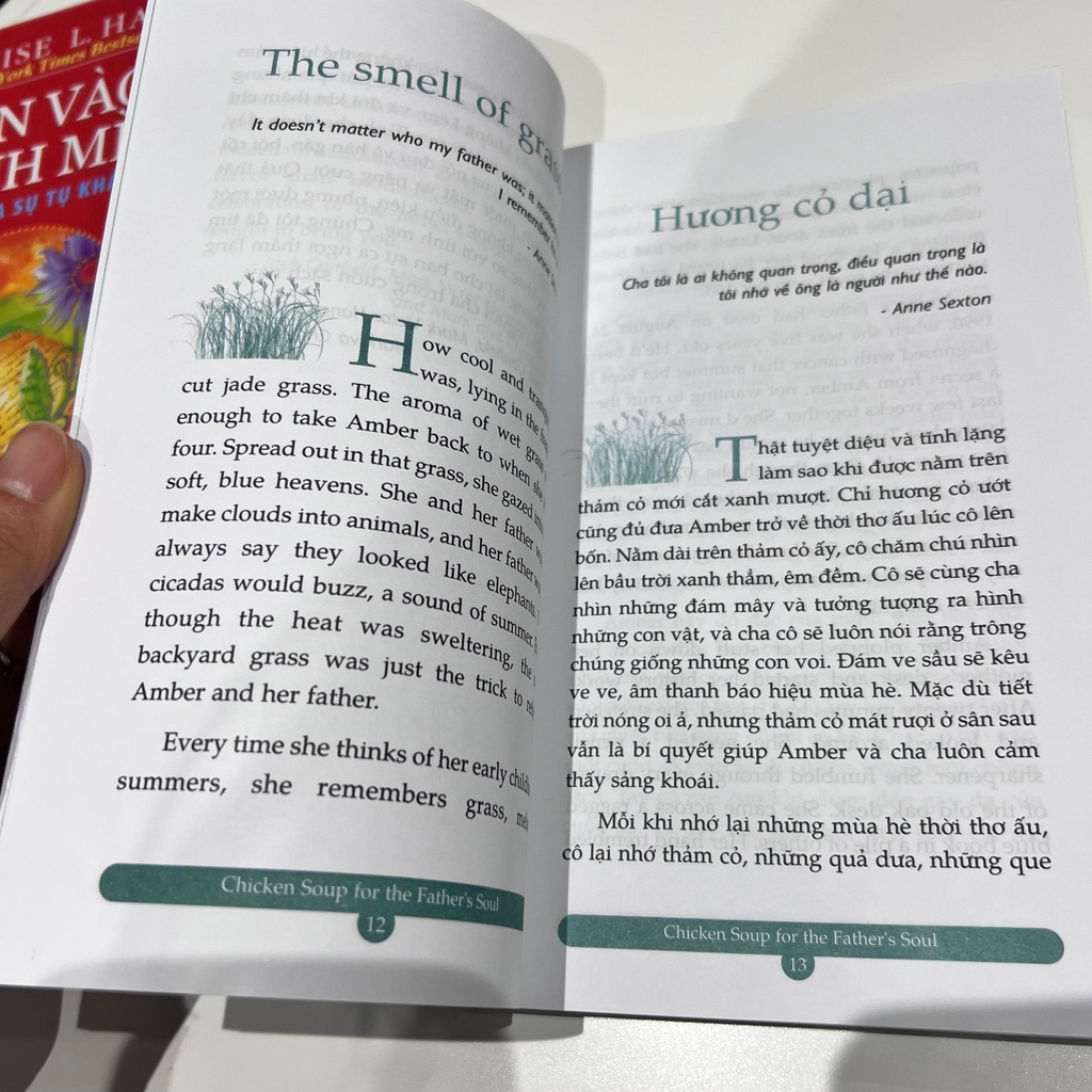 Chicken Soup For The Soul - Trái Tim Người Cha (Tái Bản)