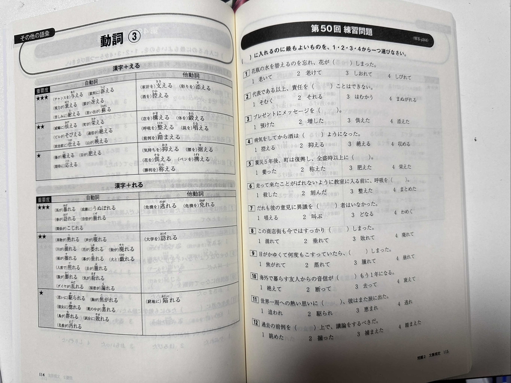 Tettei Toreningu N1 Từ vựng