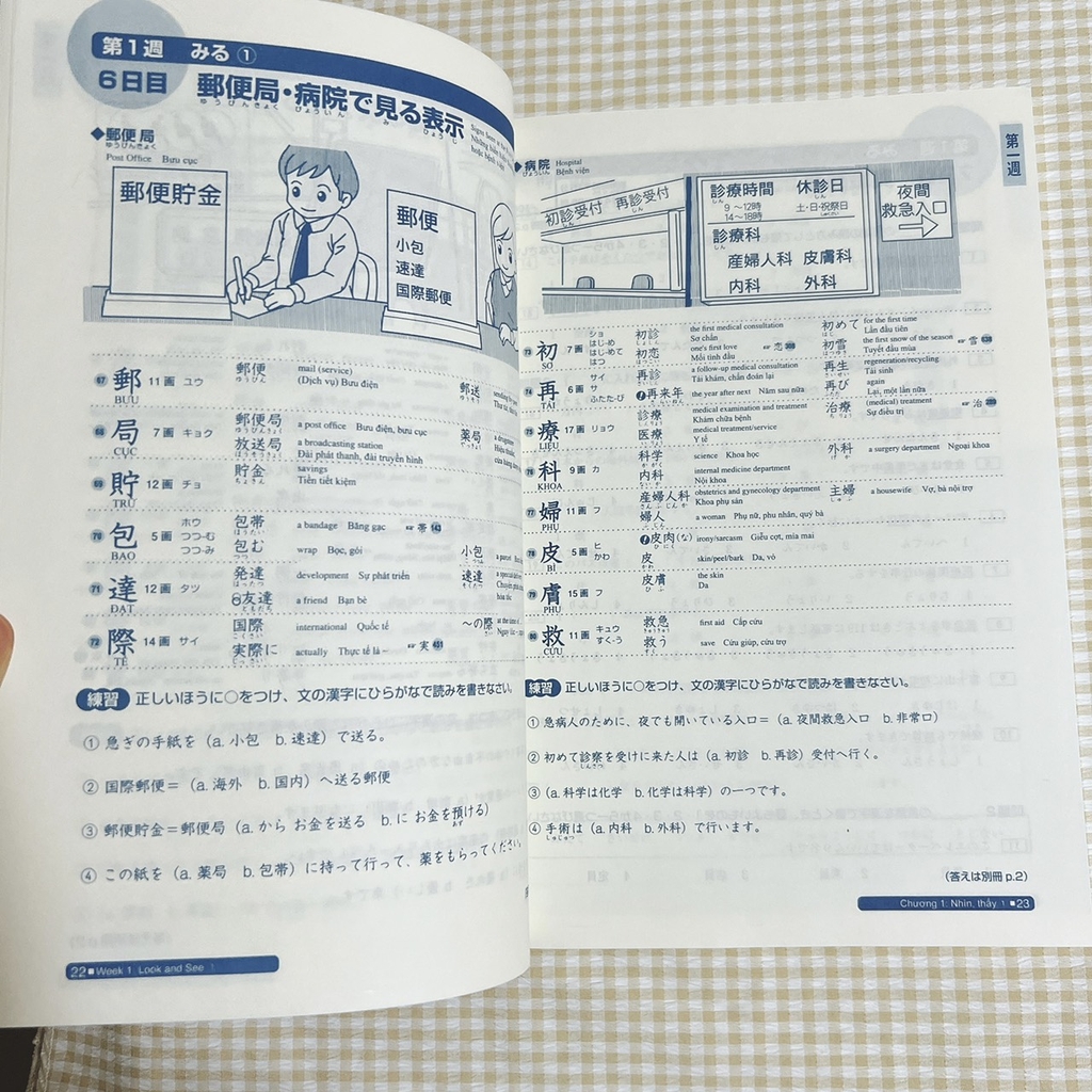 Somatome N2 Đọc Hiểu