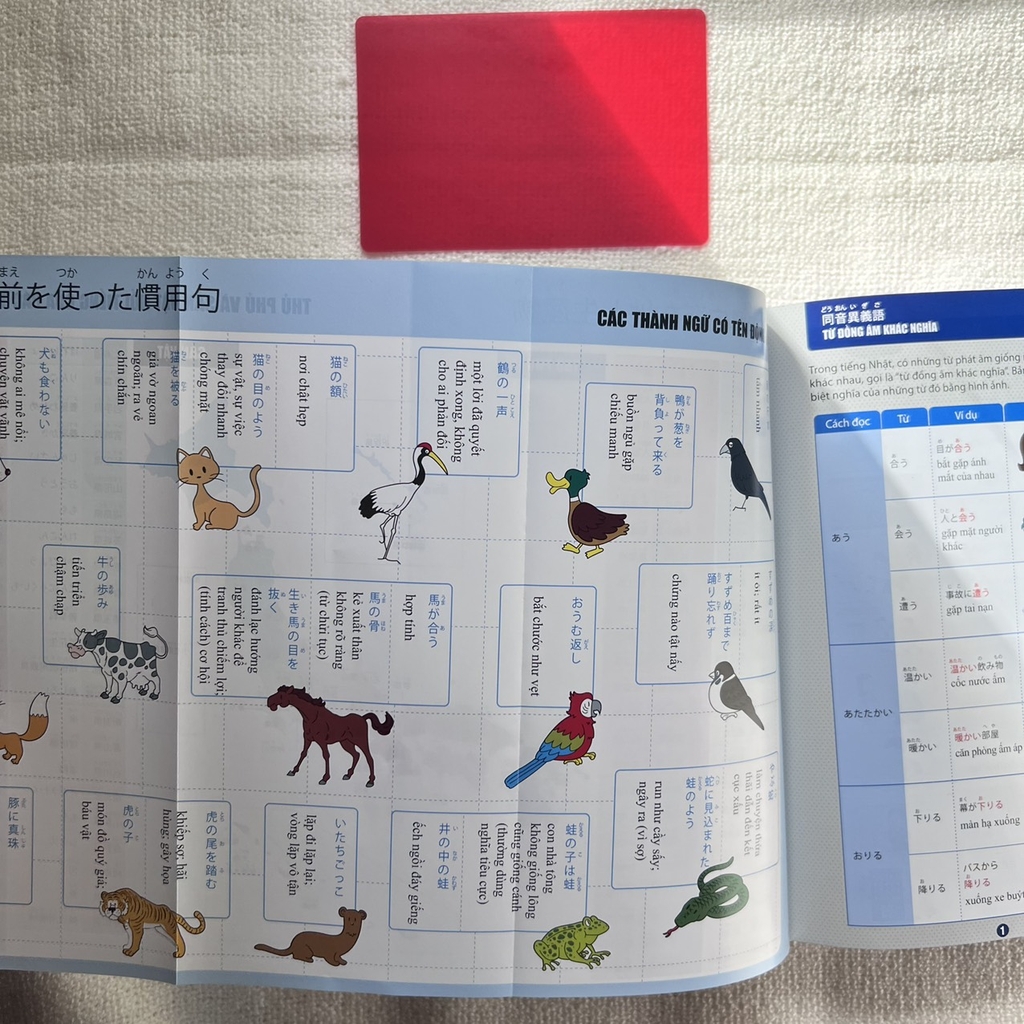 Luyện Thi Năng Lực Tiếng Nhật JLPT-2000 Từ Vựng N2 (Tặng Kèm 1 Card Đỏ Trong Suốt)