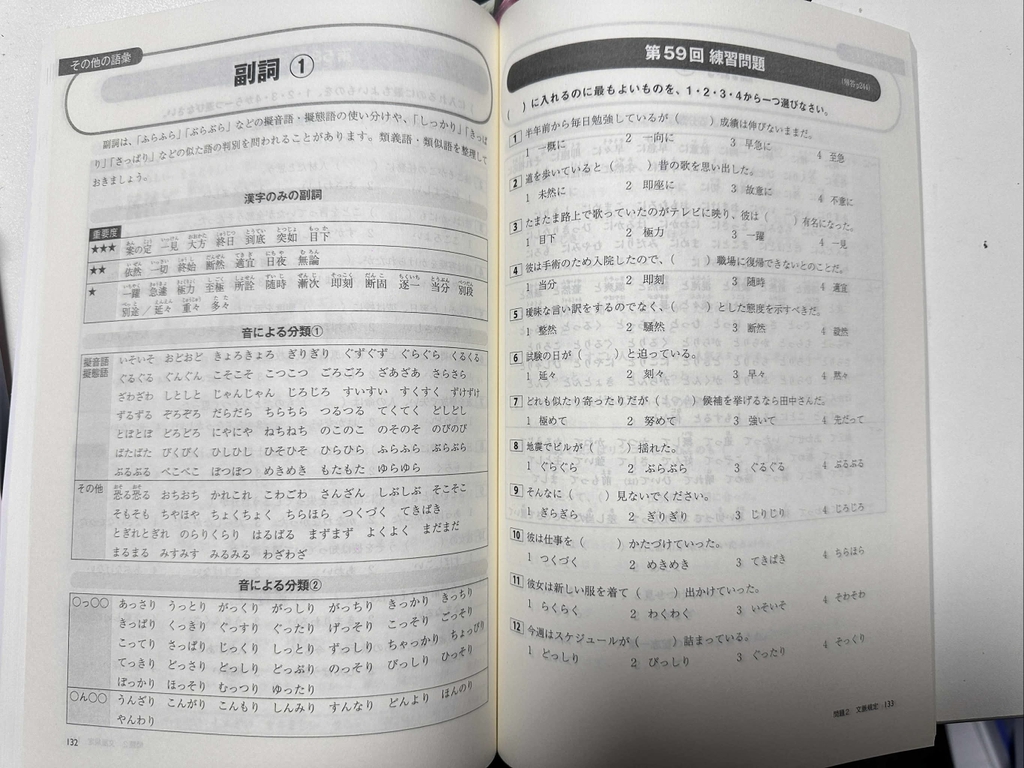 Tettei Toreningu N1 Từ vựng
