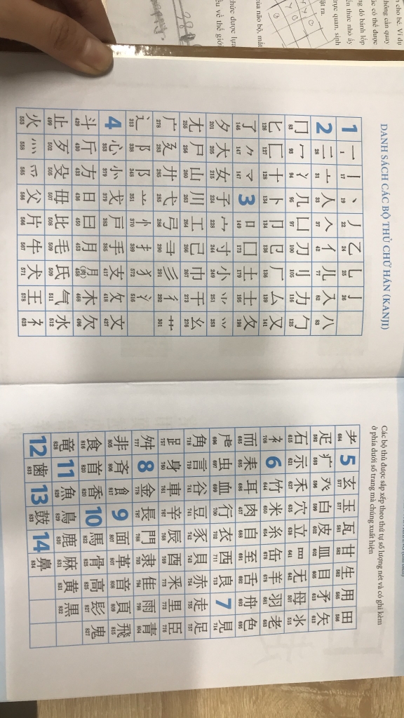 Từ Điển Nhật Việt (Bìa Cứng)