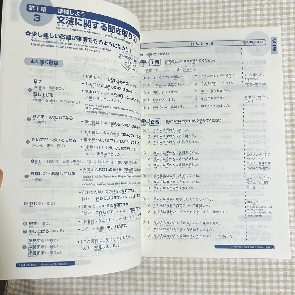 Somatome N2 Nghe Hiểu
