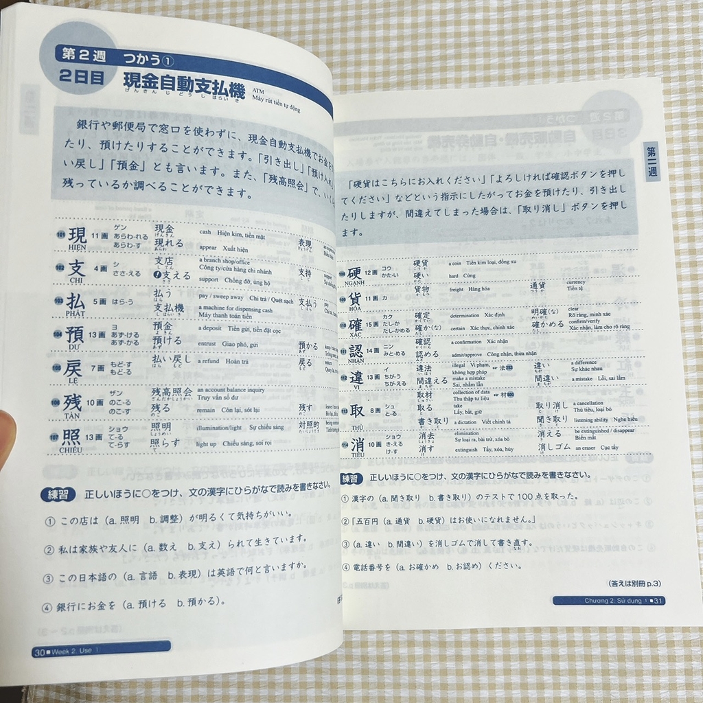 Bộ Somatome N2 dịch tiếng Việt