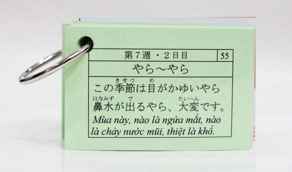 Thẻ Flashcard Ngữ Pháp N2 (2 xâu)