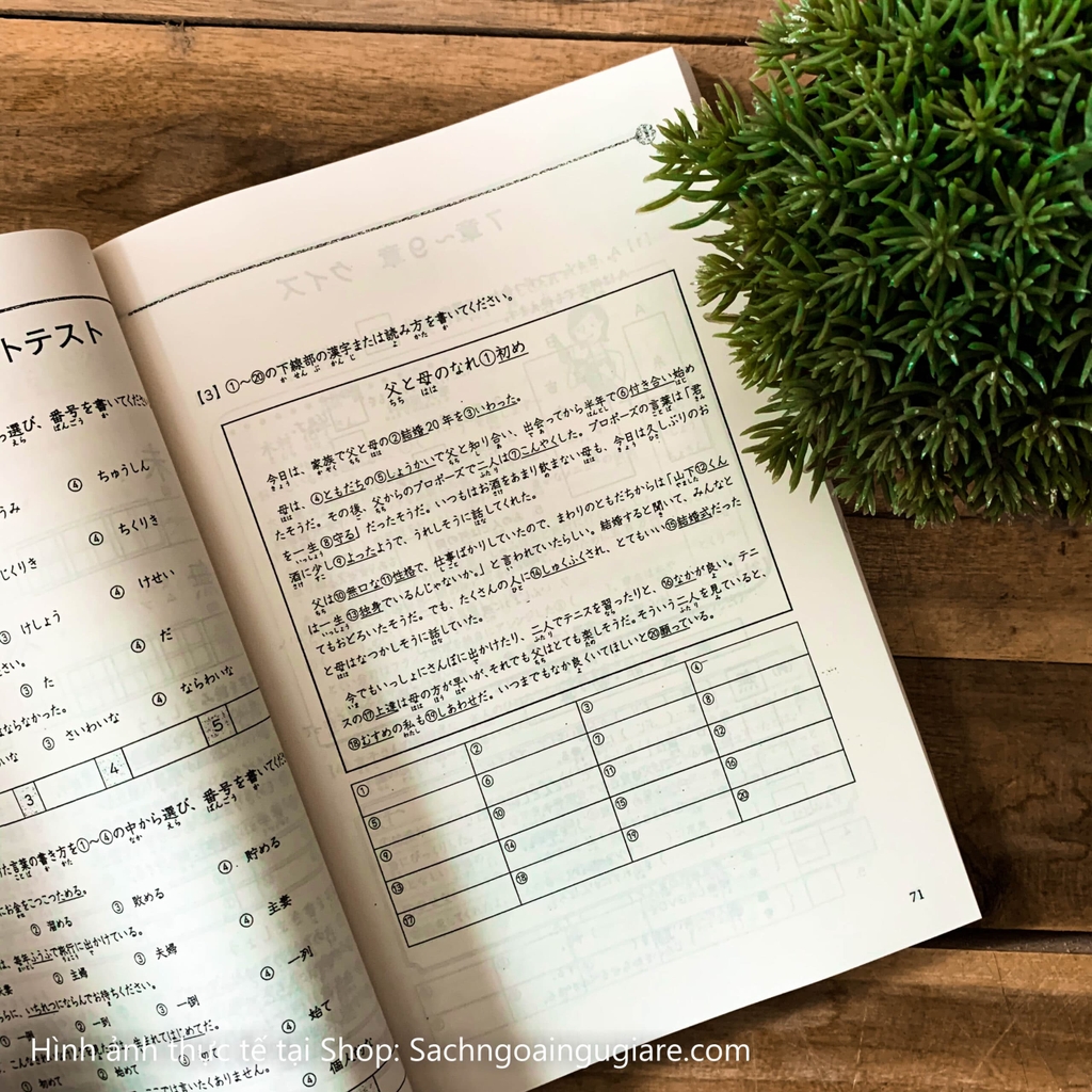Kanji Masuta N3 （dịch tiếng Việt)