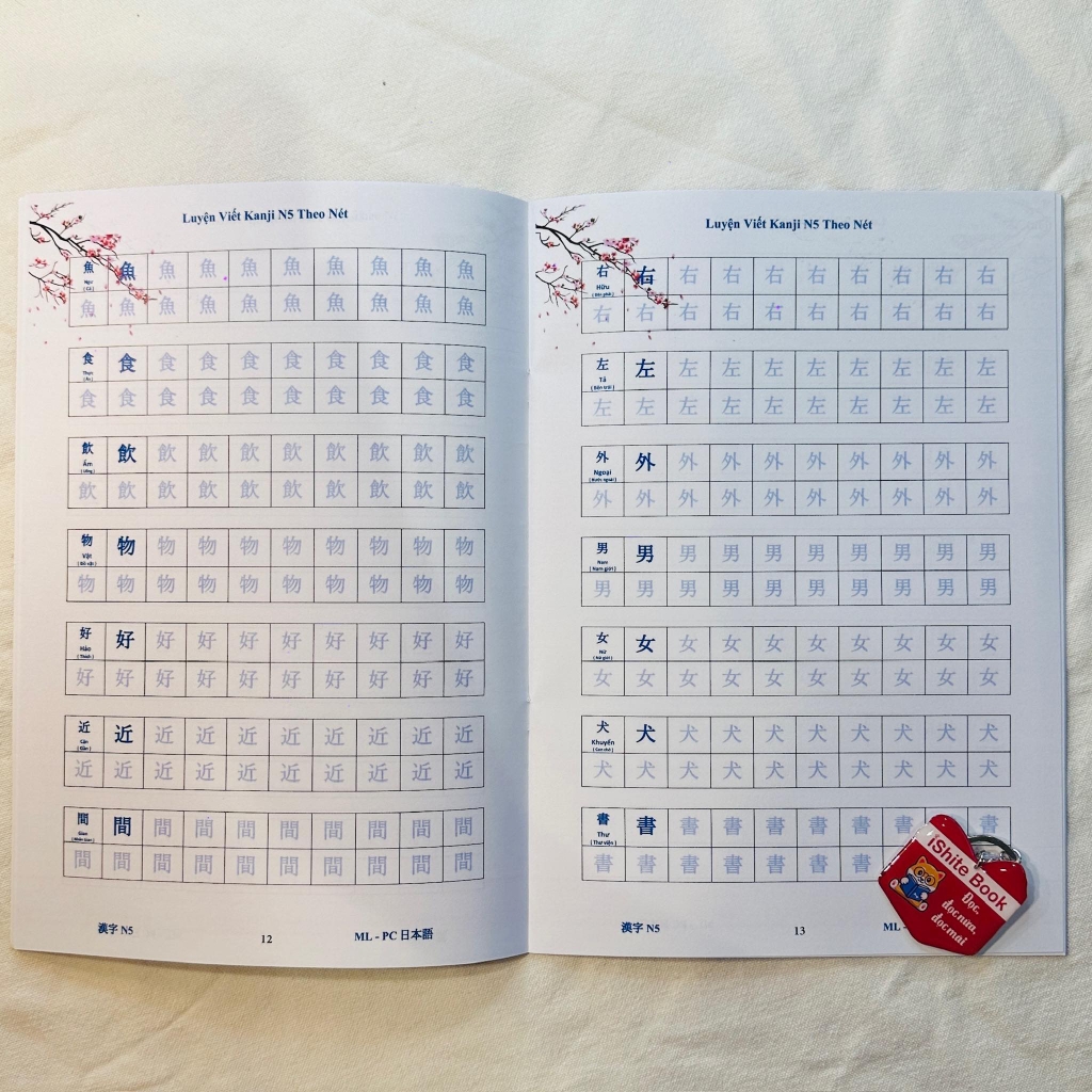 Luyện Viết Kanji N5