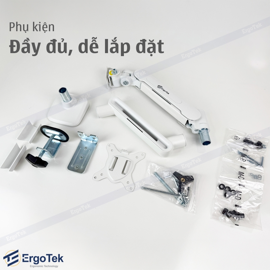 Giá treo màn hình máy tính Ergotek EZ100 tương thích 27 - 42 inch và tải trọng 12kg