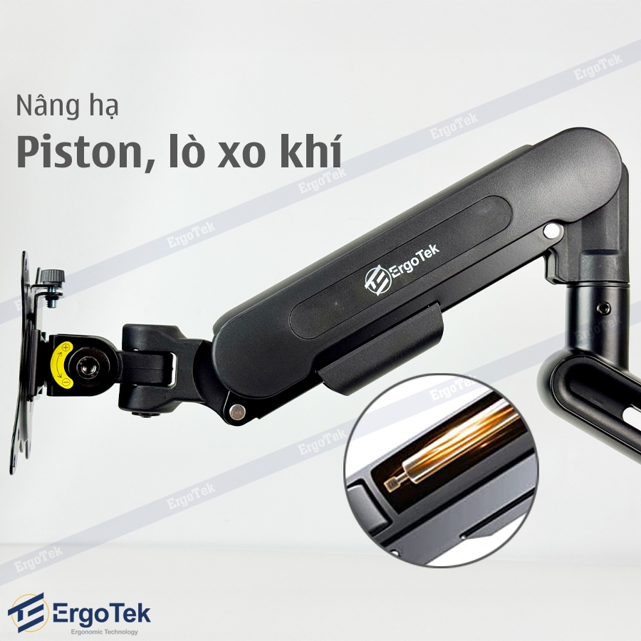 Giá treo màn hình máy tính Ergotek EZ100 tương thích 27 - 42 inch và tải trọng 12kg