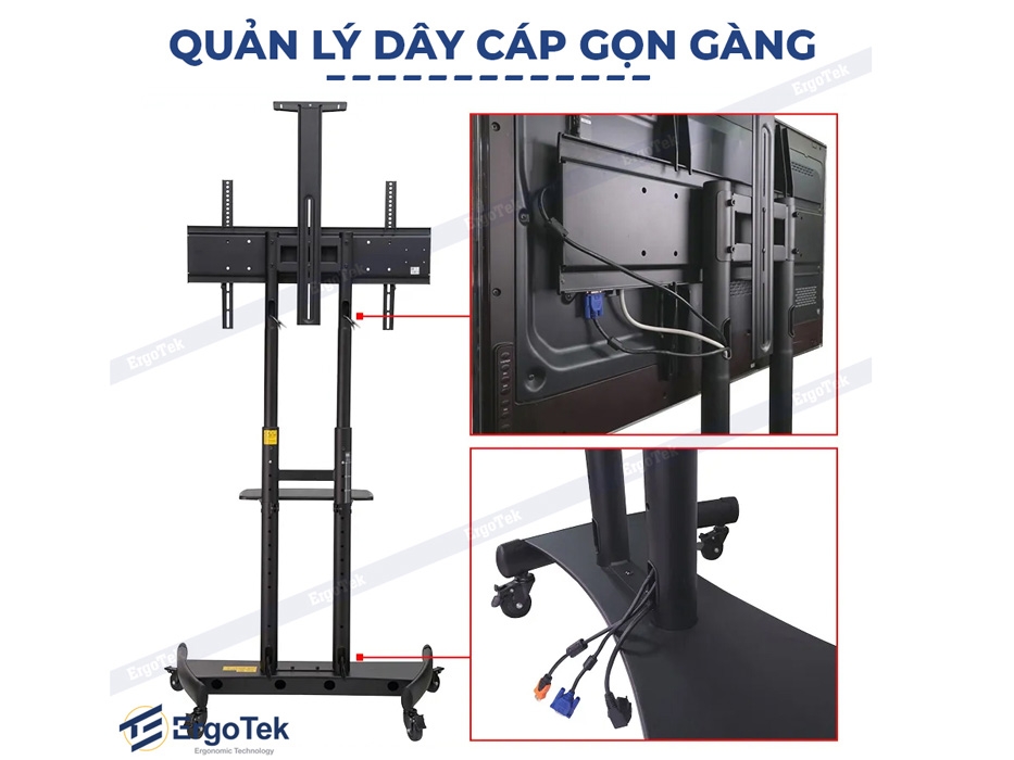 Giá treo TV di động Ergotek E2600 55- 100inch