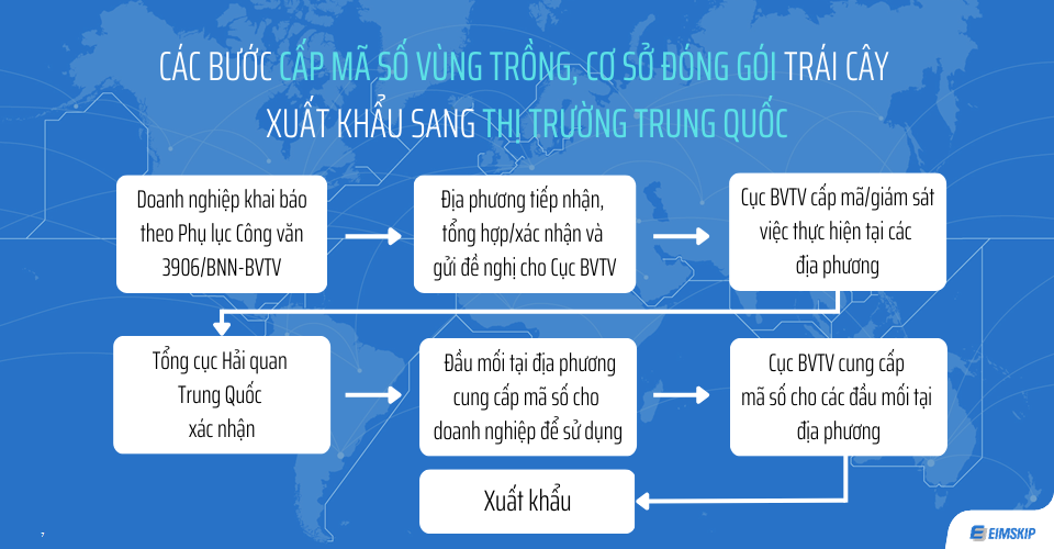 các bước cấp mã vùng khi xuất khẩu