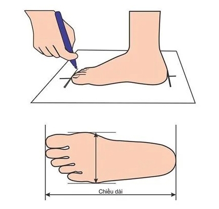 Bảng quy đổi size giày chuẩn nhất và cách đo cỡ chân đơn giản chính xác