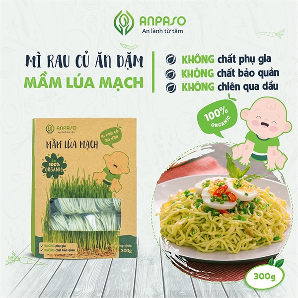 Mì Mầm Lúa Mạch Ăn Dặm Organic Anpaso 300g Thương hiệu: Anpaso 