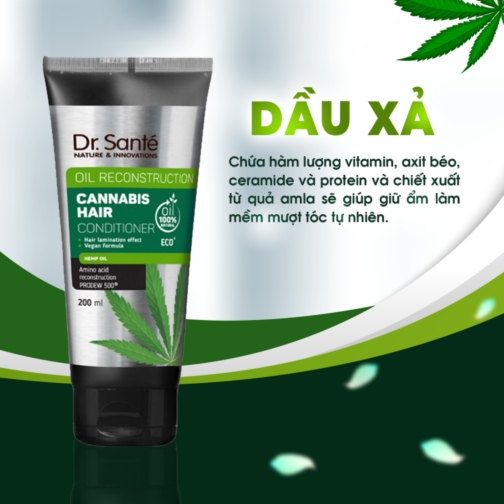 Dầu xả chăm sóc tóc chuyên sâu, phục hồi hư tổn - Cannabis Hair  Thương hiệu: DR.SANTE’ ELFA PHARM  Xuất xứ: Balan