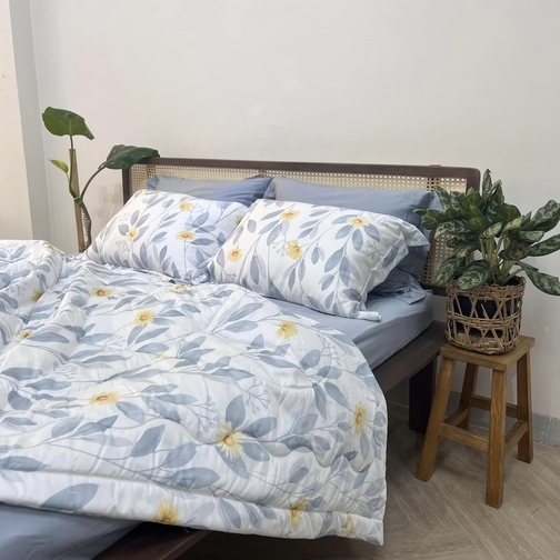Combo vỏ mền vỏ gối Tencel 60s