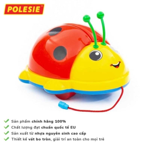 Bộ đồ chơi cánh cam phát nhạc