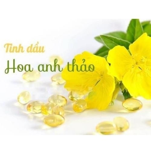 TINH DẦU HOA ANH THẢO HÀN QUỐC- MÀU VÀNG-hàn