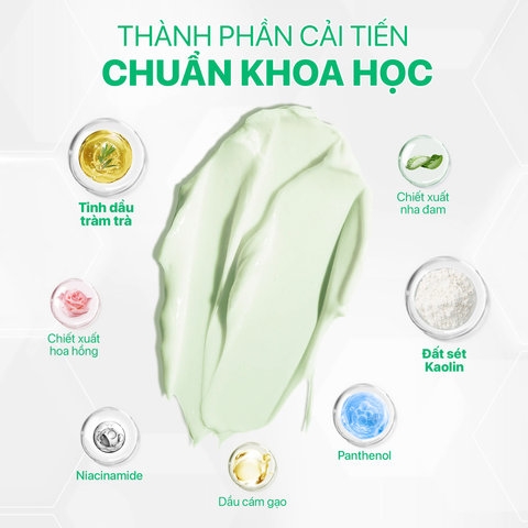 MẶT NẠ ĐẤT SÉT TRÀM TRÀ CẢI THIỆN MỤN, SẠCH SÂU, SE KHÍT LỖ CHÂN LÔNG - GUO TEA TREE MASK 50G