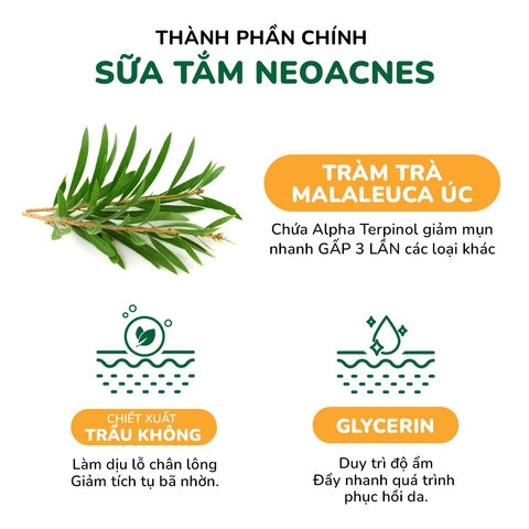 SỮA TẮM TRÀM TRÀ GIẢM MỤN LƯNG VÀ BODY NEOACNES 250ML - NEO ACNES