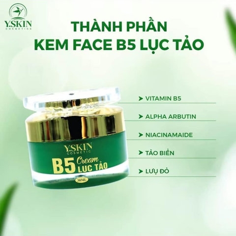 KEM DƯỠNG TRẮNG DA B5 LỤC TẢO - YSKIN