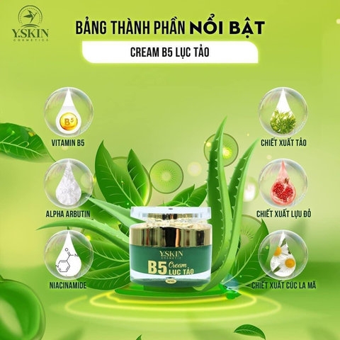 KEM DƯỠNG TRẮNG DA B5 LỤC TẢO - YSKIN