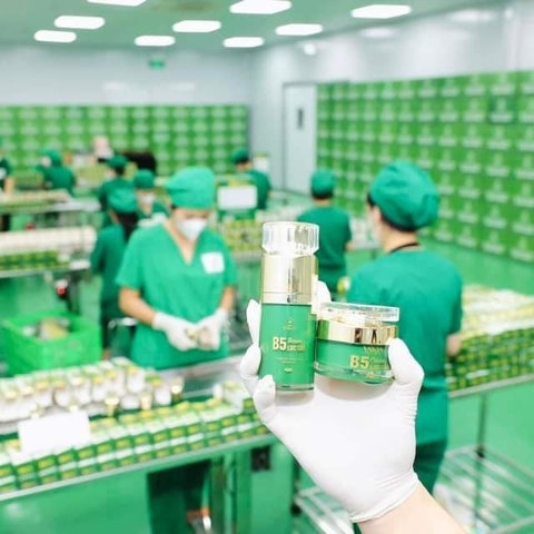 COMBO FACE VÀ SERUM B5 LỤC TẢO - YSKIN