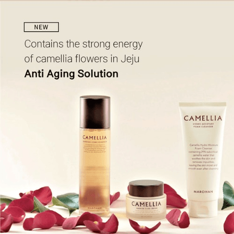 TINH CHẤT DƯỠNG DA MAROHAN CAMELLIA BARRIER CORE ESSENCE 150ML - GINSENG HOUSE