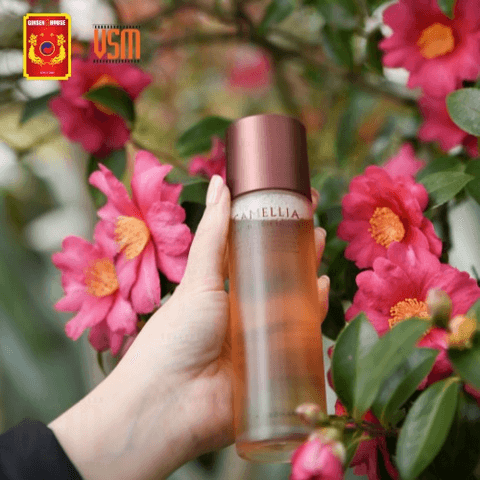 TINH CHẤT DƯỠNG DA MAROHAN CAMELLIA BARRIER CORE ESSENCE 150ML - GINSENG HOUSE