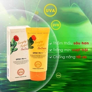 KEM CHỐNG NẮNG HOÀN HẢO HẰNG NGÀY EVERYDAY PERFECT SUN CREAM SPF50+PA+++ - THE NATURE BOOK