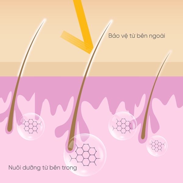 SERUM DƯỠNG DÀI MI & MÀY 10ML - COBOTÉ
