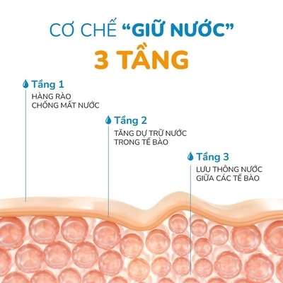 BỘ ĐÔI KEM DƯỠNG ẨM & SỮA CHỐNG NẮNG BẢO VỆ LÀN DA - NEOAQUA
