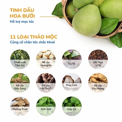 BỘ BA (GỘI + XẢ + SERUM) GIẢM RỤNG HỖ TRỢ MỌC TÓC GỒM DẦU GỘI HOA BƯỞI (250ML) & DẦU XẢ HOA BƯỞI NEO NATURE (250ML) & SERUM HOA BƯỞI 50ML- NEONATURE