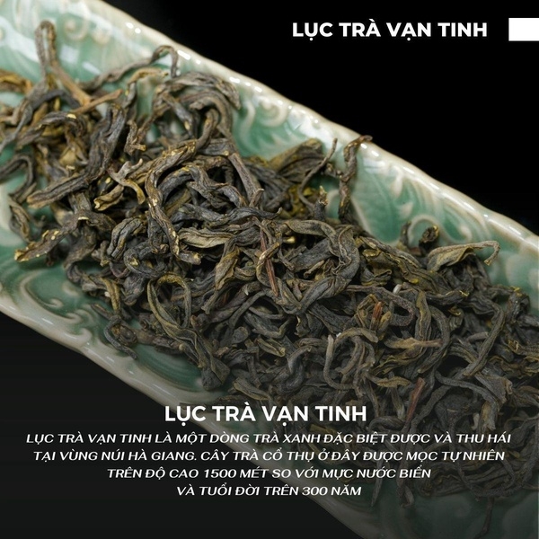 LỤC TRÀ VẠN TINH 125 GRAM, LỤC TRÀ CỔ THỤ 300 NĂM TDG