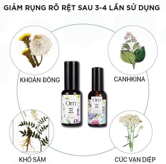 TINH CHẤT NGỪA RỤNG VÀ KÍCH THÍCH MỌC TÓC CHIẾT XUẤT CÚC VẠN DIỆP HAIR SERUM - OM FOUNTAIN