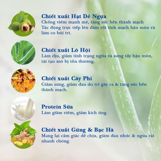 GEL BÔI TRĨ TRIMAXGEL GIÚP CO BÚI TRĨ, GIẢM SƯNG ĐỎ VÀ NGỨA RÁT HẬU MÔN DO TRĨ 20G