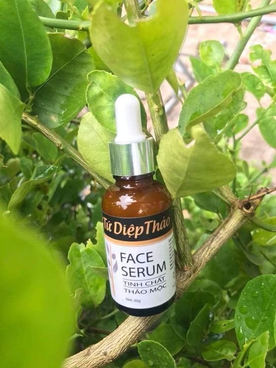 FACE SERUM TINH CHẤT THẢO MỘC TỨ DIỆP THẢO (30G)