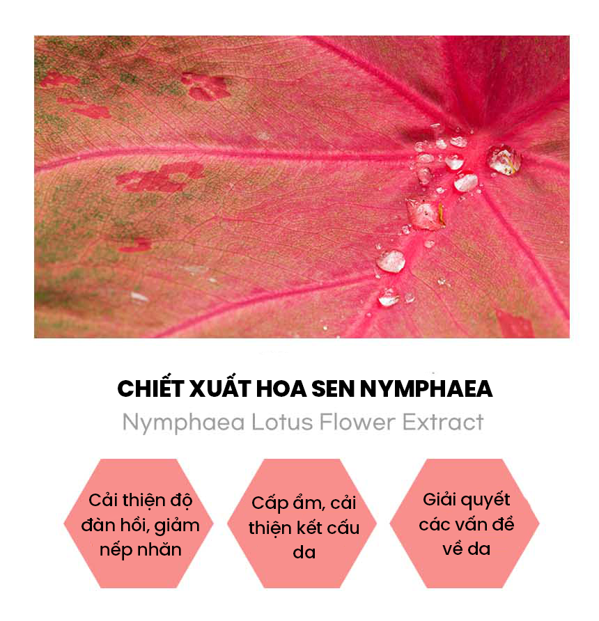 SỮA TẮM WHISIS THIÊN NHIÊN & HƯƠNG NƯỚC HOA-han