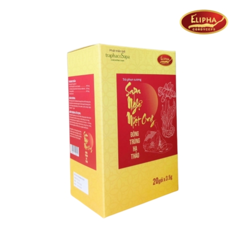 Trà phun sương SAPA NGHỆ MẬT ONG ĐÔNG TRÙNG HẠ THẢO